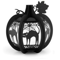 3D Pumpkin Black Cat