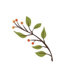 Branch