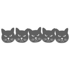 Black Cat Border