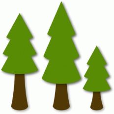 3 trees