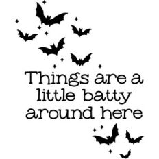 things are a little batty around here