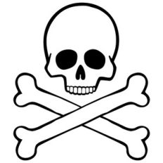 skull and bones