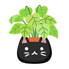 Black Cat Planter