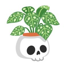 Skull Planter