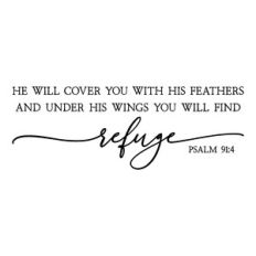 he will cover you with his feathers