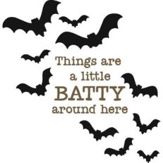 Things Are A Little Batty Around Here