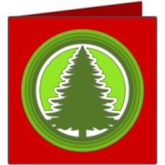 pine tree card