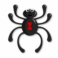 Black Widow spider