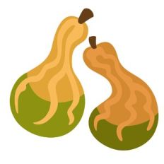 Gourd Set
