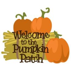 Welcome to the Pumpkin Patch