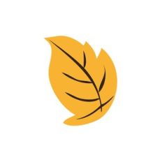 Yellow Leaf