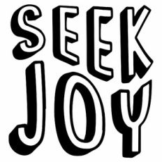 seek joy