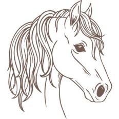 horse
