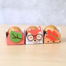 FOX INDIVIDUAL CANDY BOX KIT