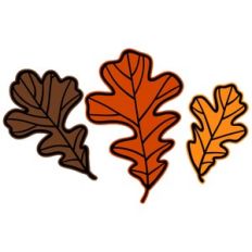 oak leaves