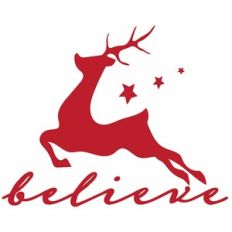 Believe with Flying Reindeer