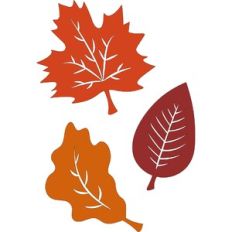 Fall Leaves
