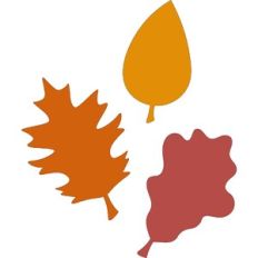 Fall Leaves