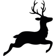 Reindeer