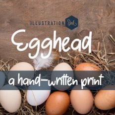 PN Egghead Bold