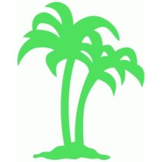 palm tree silhouette