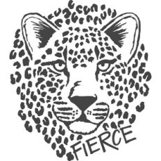 leopard