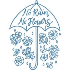 no rain no flowers