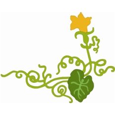 pumpkin vine corner