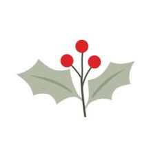 Berries and Holly