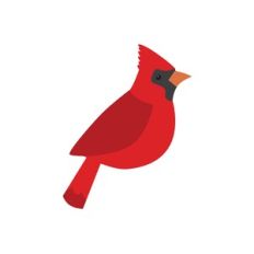 Cardinal