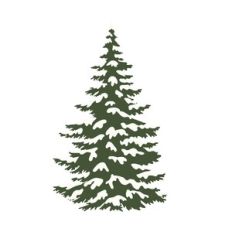 Snowy Tree