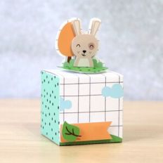 Rabbit Cube box