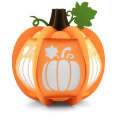 3D Pumpkin Pumpkins