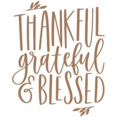 Thankful Grateful and Blessed
