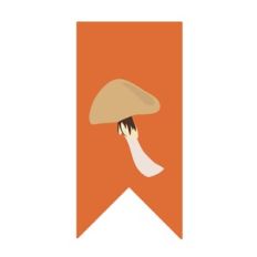 Mushroom Flag
