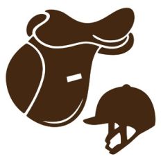 English Riding Set