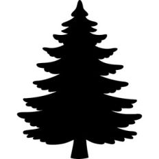 Pine Tree
