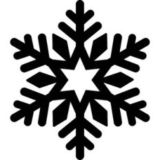 Snowflake