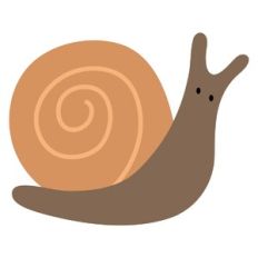 Snail