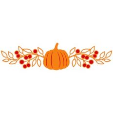 pumpkin berry border