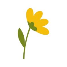 Curvy Flower