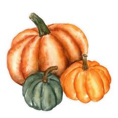 Three Autumn / Fall Watercolor Pumpkins Print and Cut