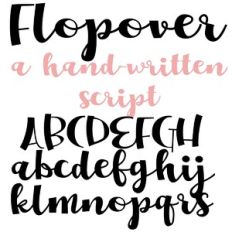 ZP Flopover
