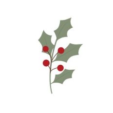 Berries and Holly