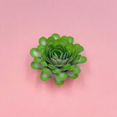 GREEN DIGITAL SPIRAL FLOWER 80