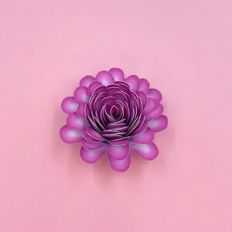 PINK DIGITAL SPIRAL FLOWER 80