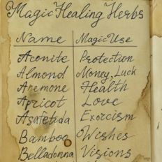 Spells and Potions