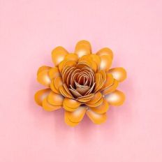 ORANGE DIGITAL SPIRAL FLOWER 80