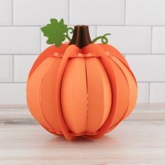 3D Pumpkin 24 Sides Solid Panels