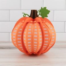 3D Pumpkin 24 Sides Stripes